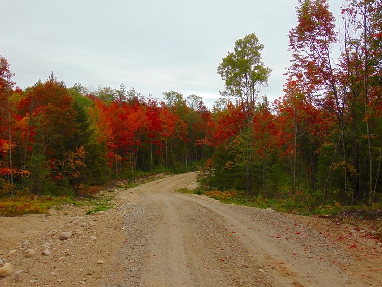 Adirondack Acreage Listings Adirondack Land for Sale