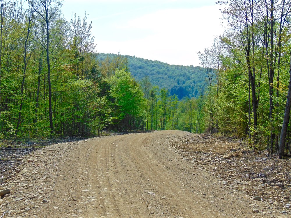 Adirondack Acreage Listings Adirondack Land for Sale