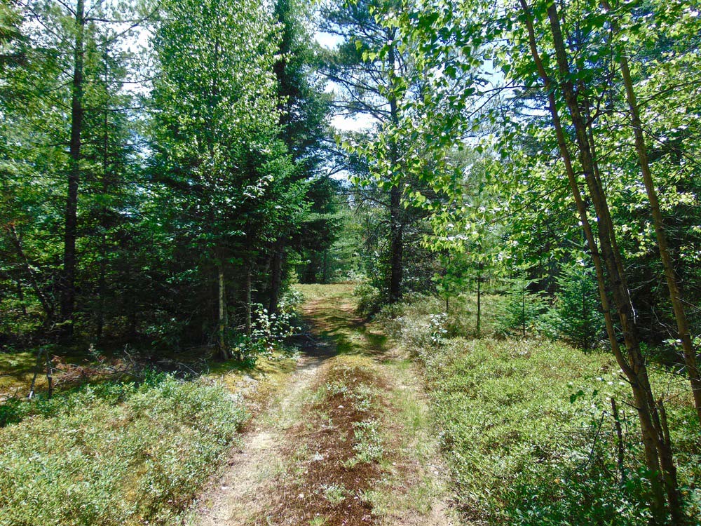 30 Acres of Secluded Adirondack Property