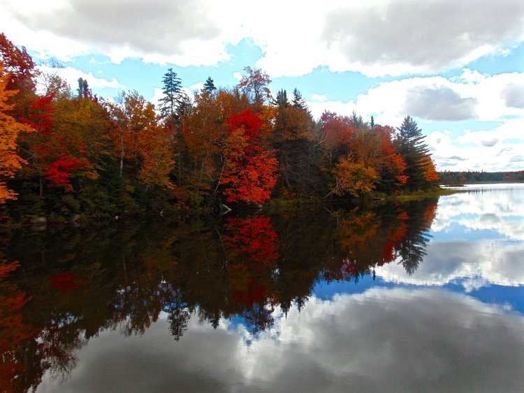 Adirondack Fall Colors