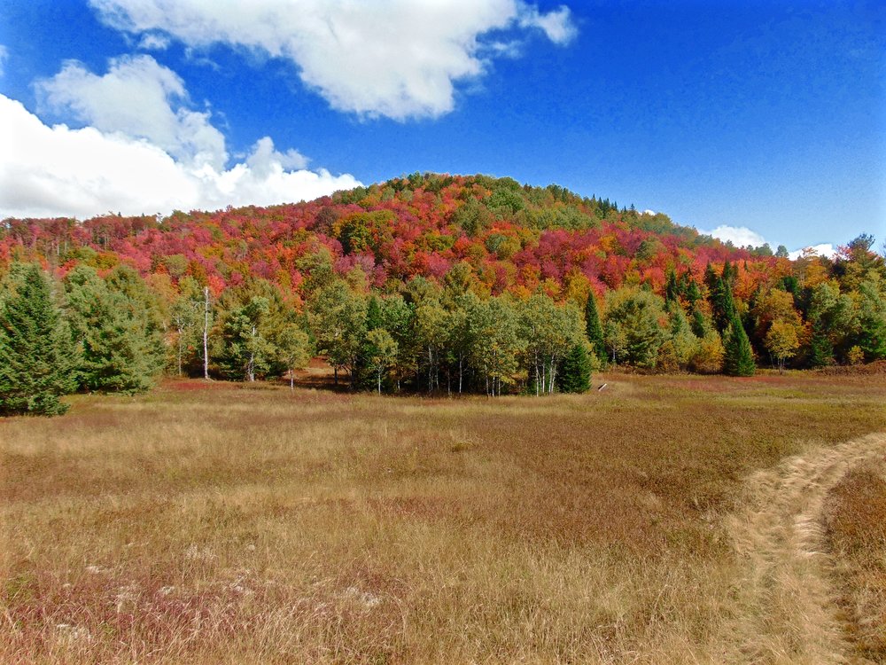 Adirondack Acreage Listings Adirondack Land for Sale