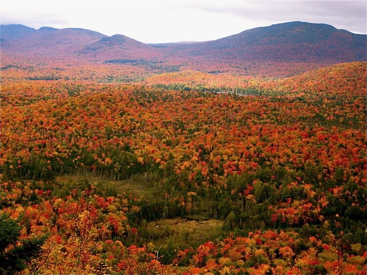 Fall in the Adirondack Mountains