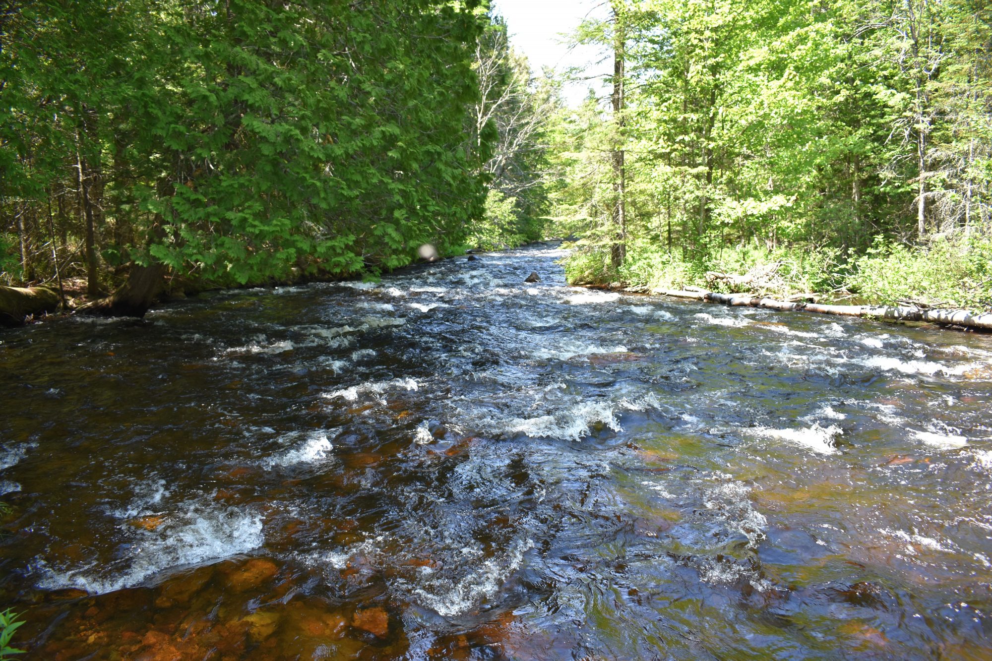 Adirondack Acreage Listings Adirondack Land for Sale