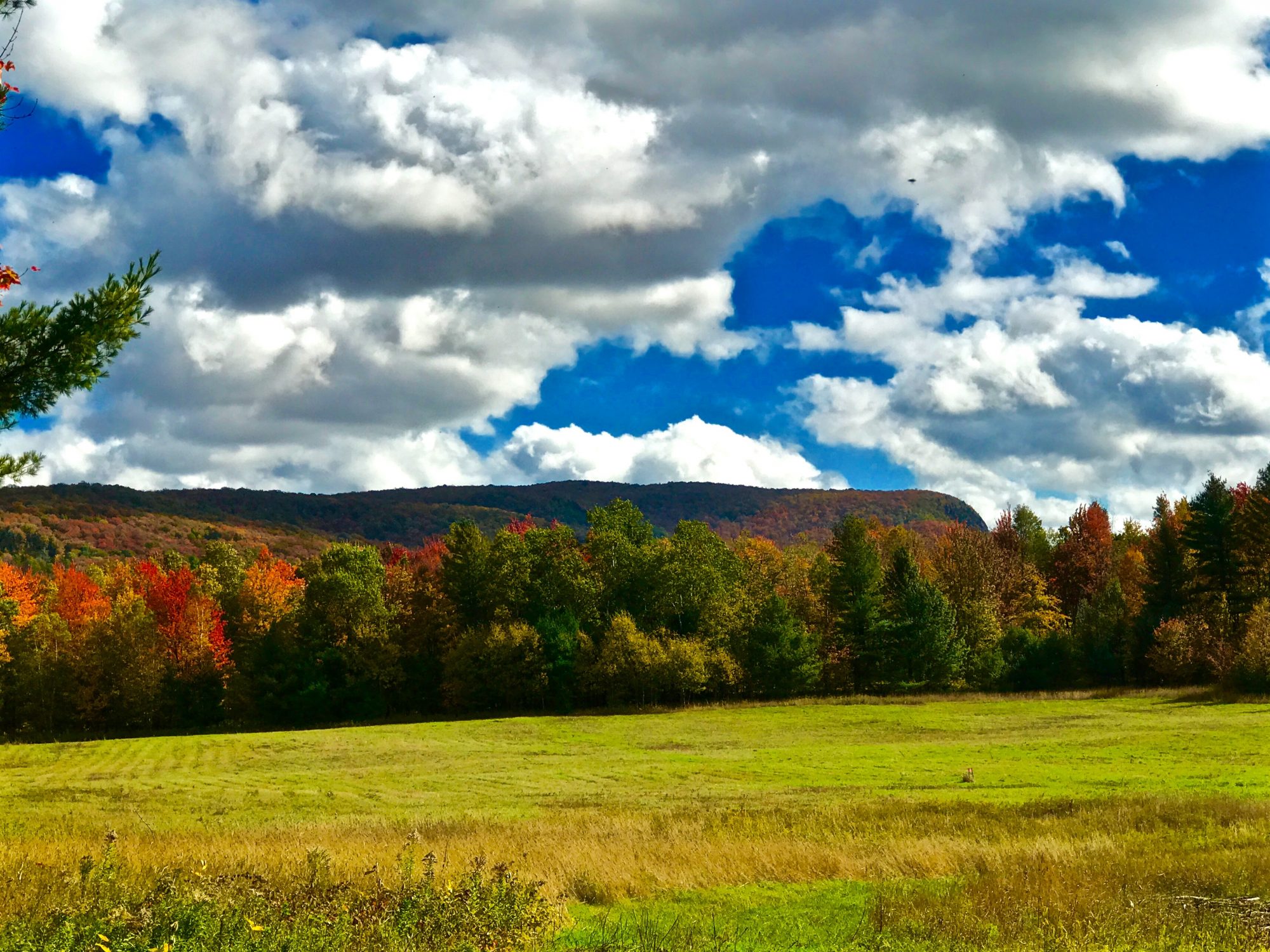Adirondack Hunting Properties in Upstate New York — Adirondack Mt Land