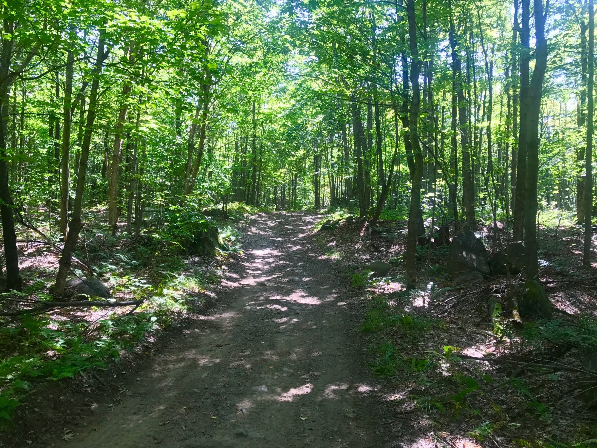 Adirondack Acreage Listings Adirondack Land for Sale