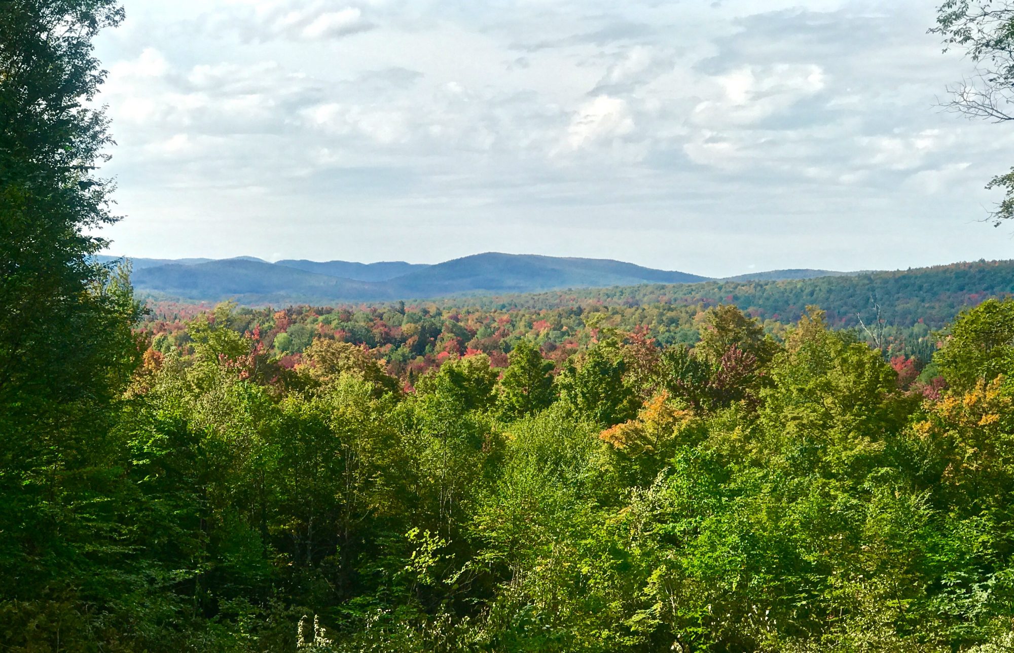 Adirondack Acreage Listings Adirondack Land for Sale