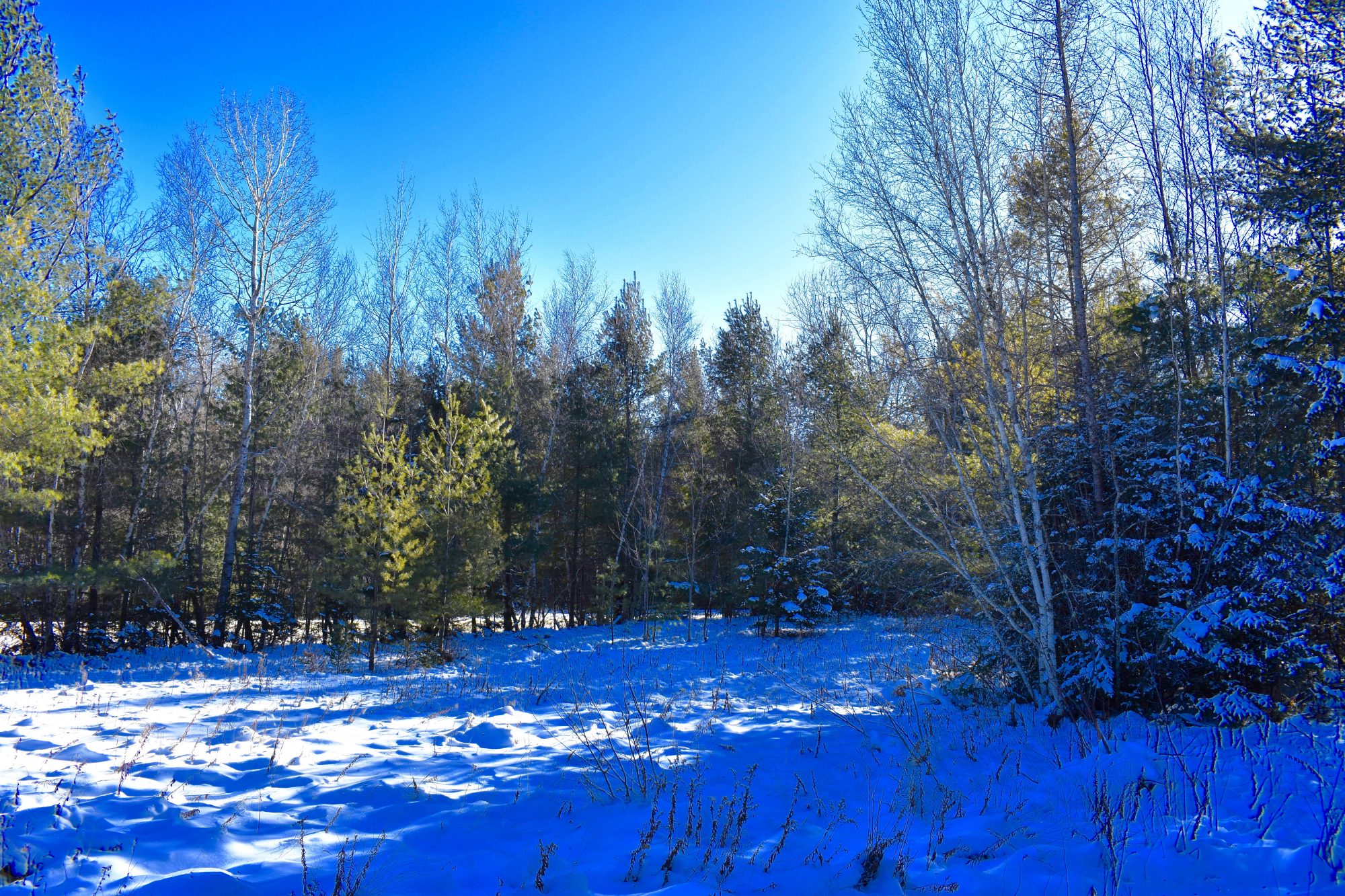 Adirondack Acreage Listings Adirondack Land for Sale