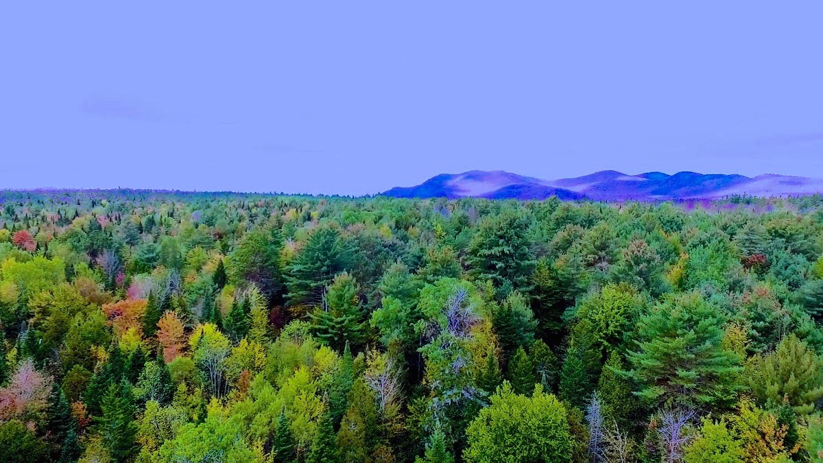 Adirondack Acreage Listings Adirondack Land for Sale
