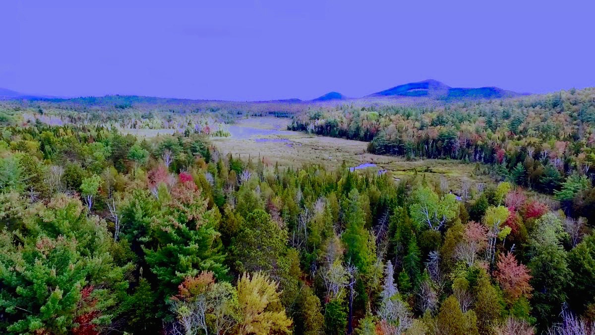 Adirondack Acreage Listings Adirondack Land for Sale