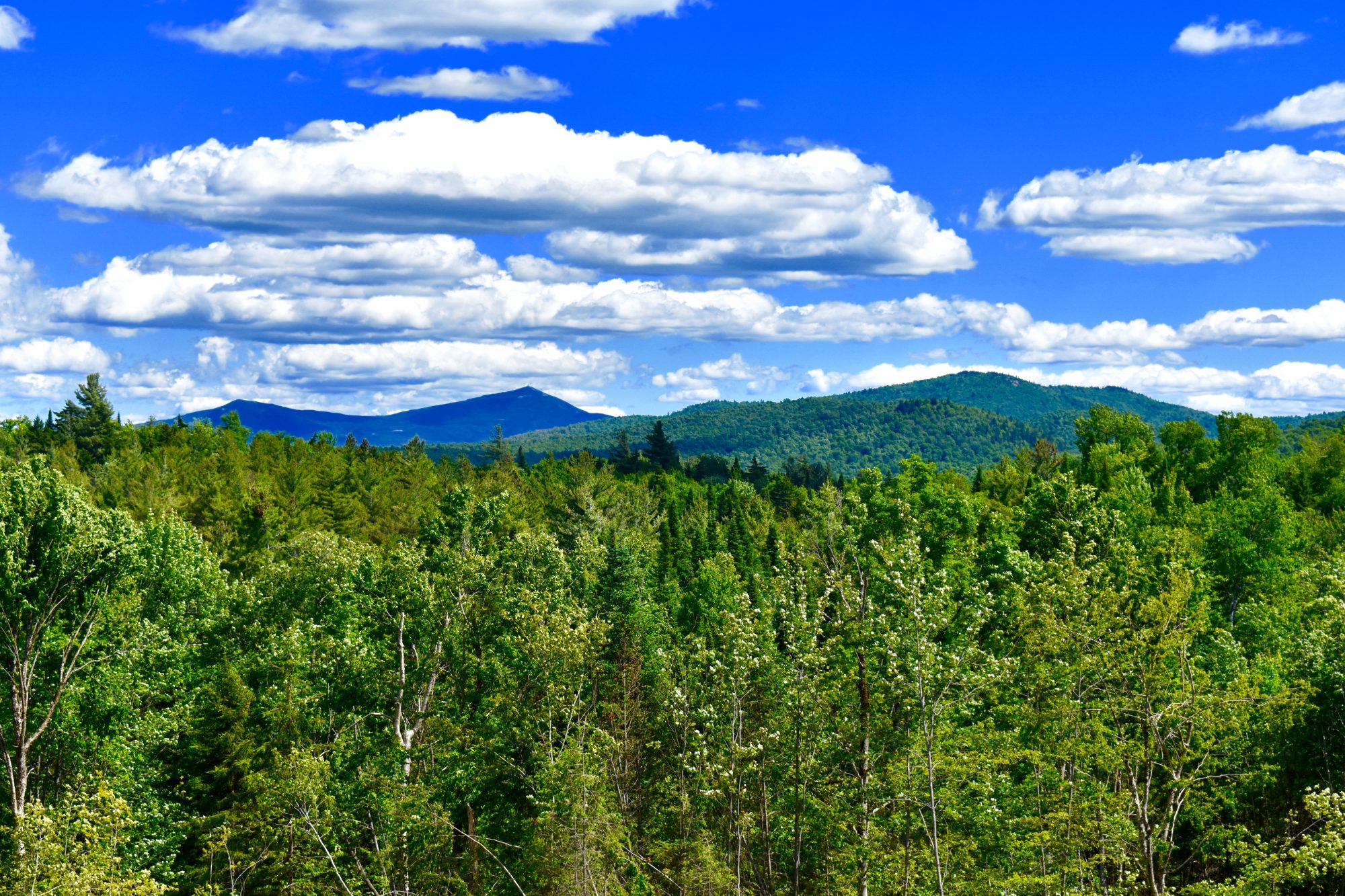Adirondack Acreage Listings Adirondack Land for Sale