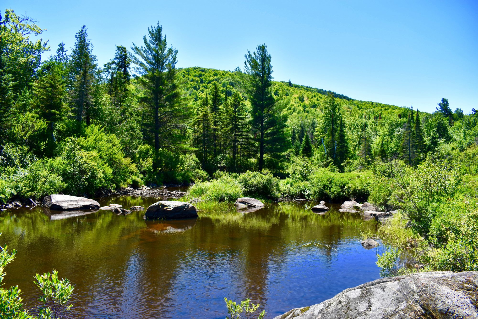 Adirondack Acreage Listings Adirondack Land for Sale