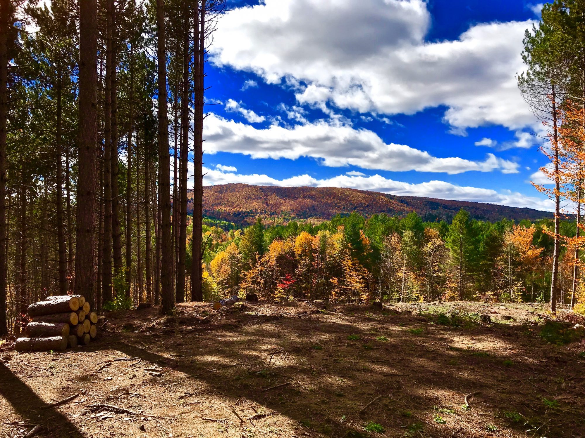 Adirondack Acreage Listings Adirondack Land for Sale