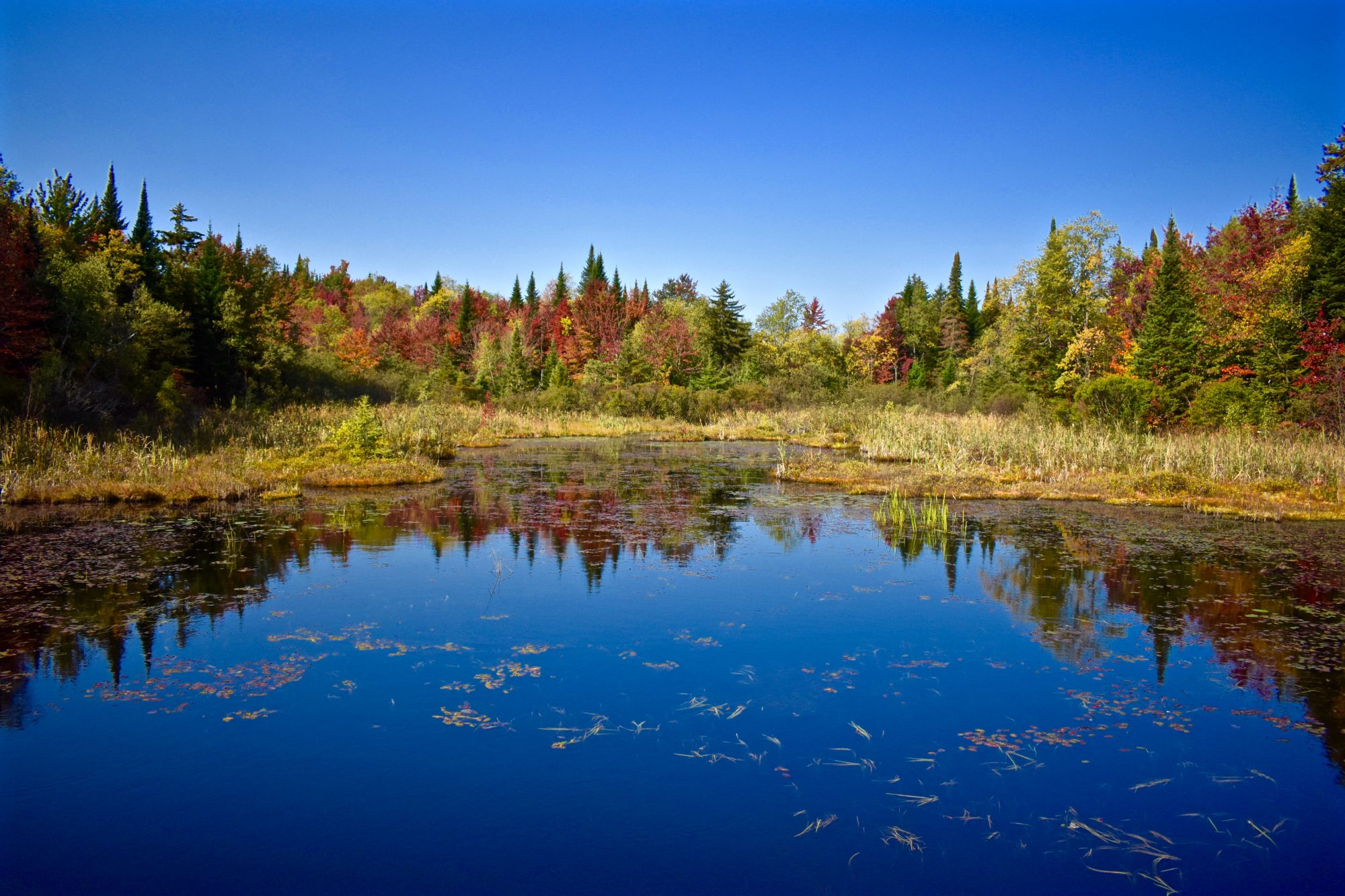 Acreage For Sale By Owner >> Large Pieces Of Adirondack Acreage For Sale By Owner Ready For Acreage For Sale By Owner >> Large Pieces Of Adirondack Acreage For Sale By Owner Ready For