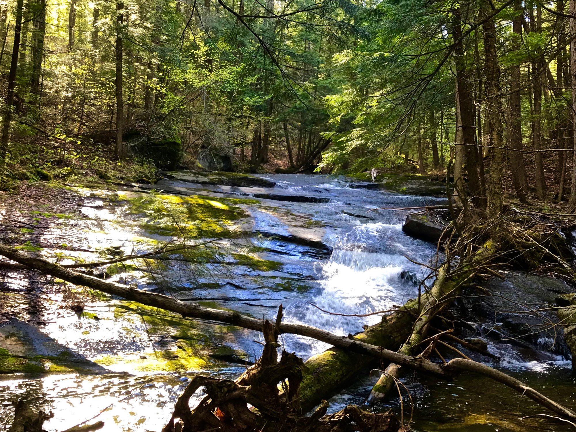 Acreage For Sale By Owner >> Large Pieces Of Adirondack Acreage For Sale By Owner Ready For Acreage For Sale By Owner >> Large Pieces Of Adirondack Acreage For Sale By Owner Ready For