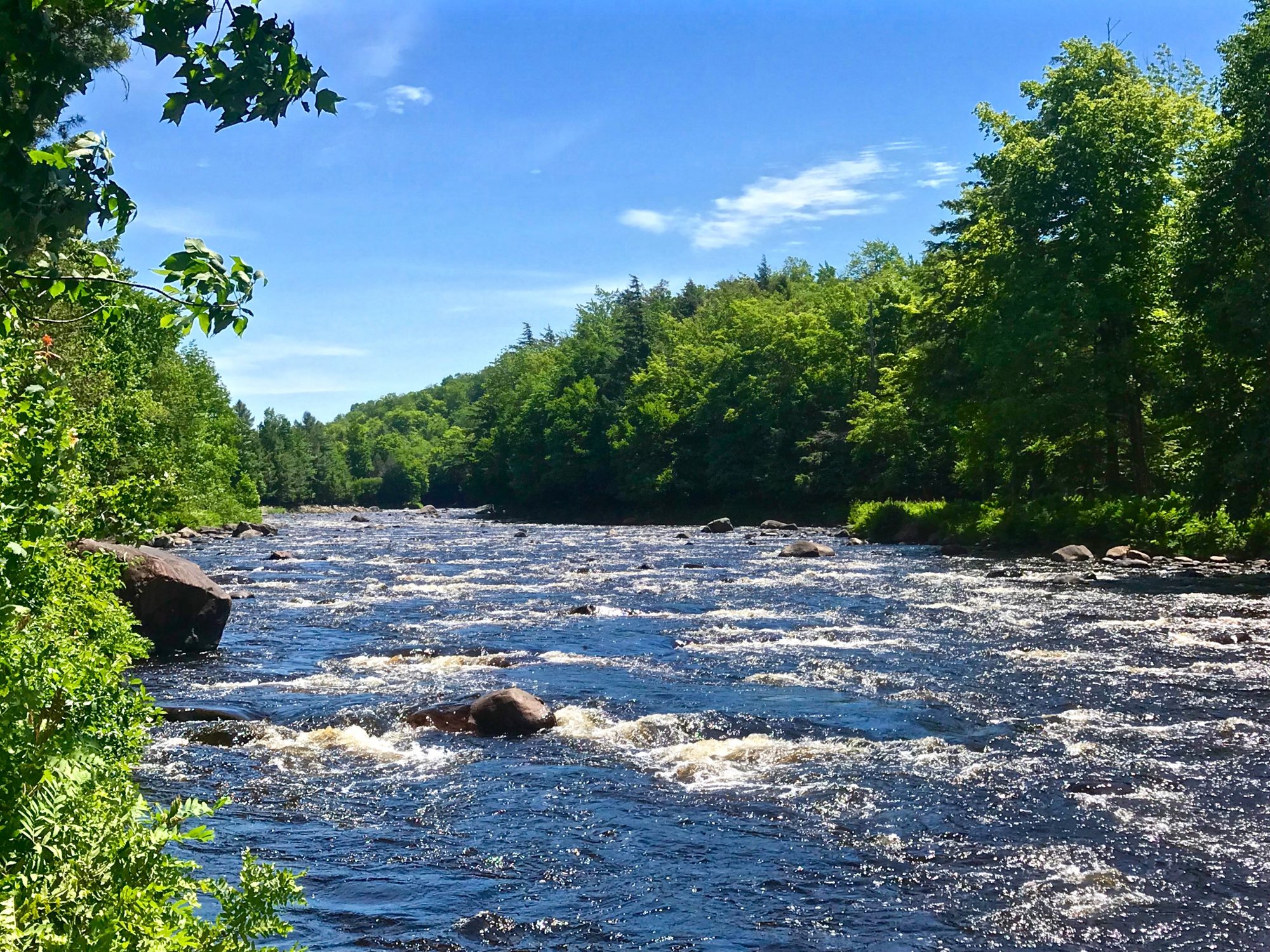 Adirondack Acreage Listings Adirondack Land for Sale