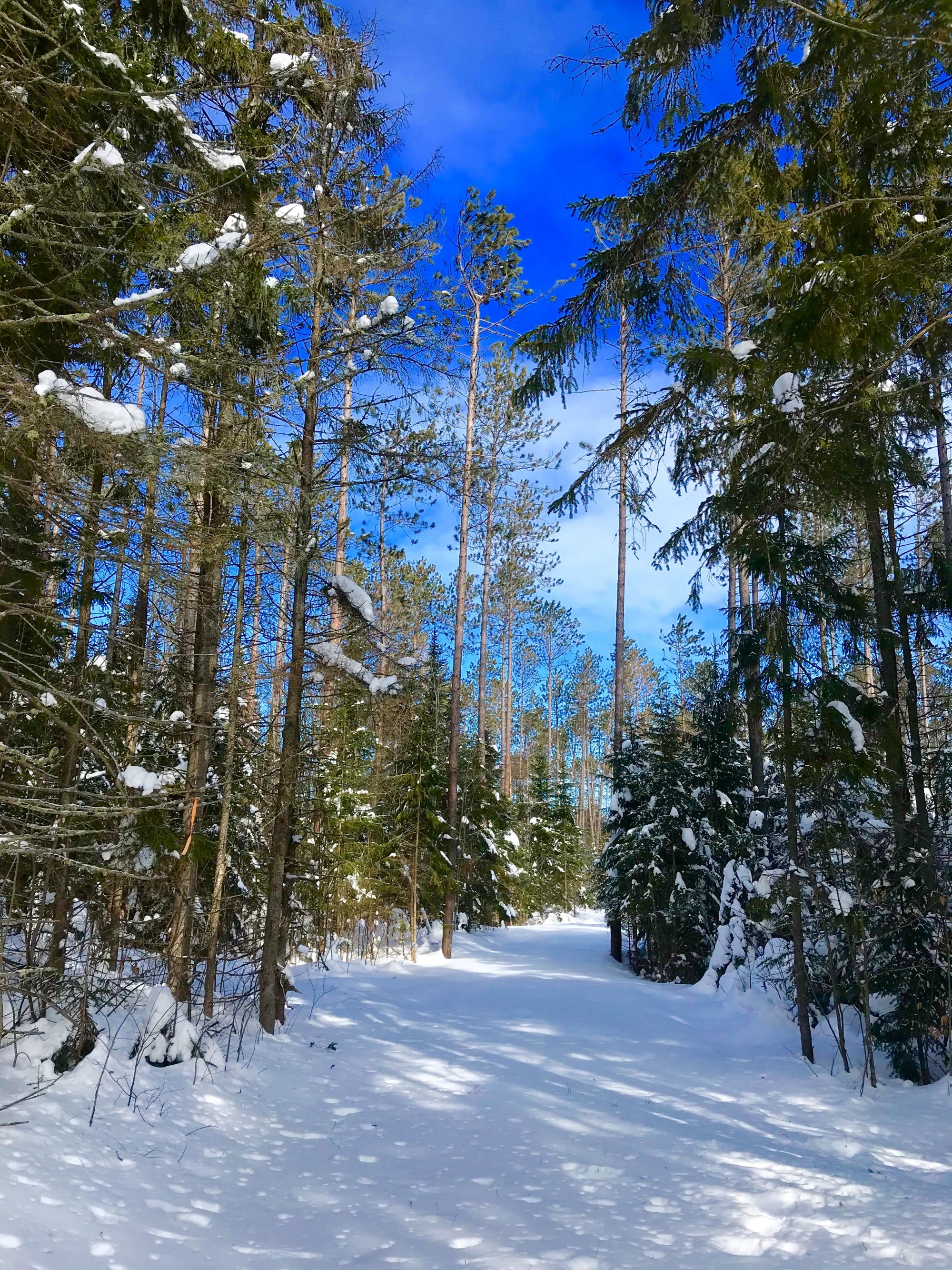Adirondack Property Situated on a High Knoll With Pretty Views