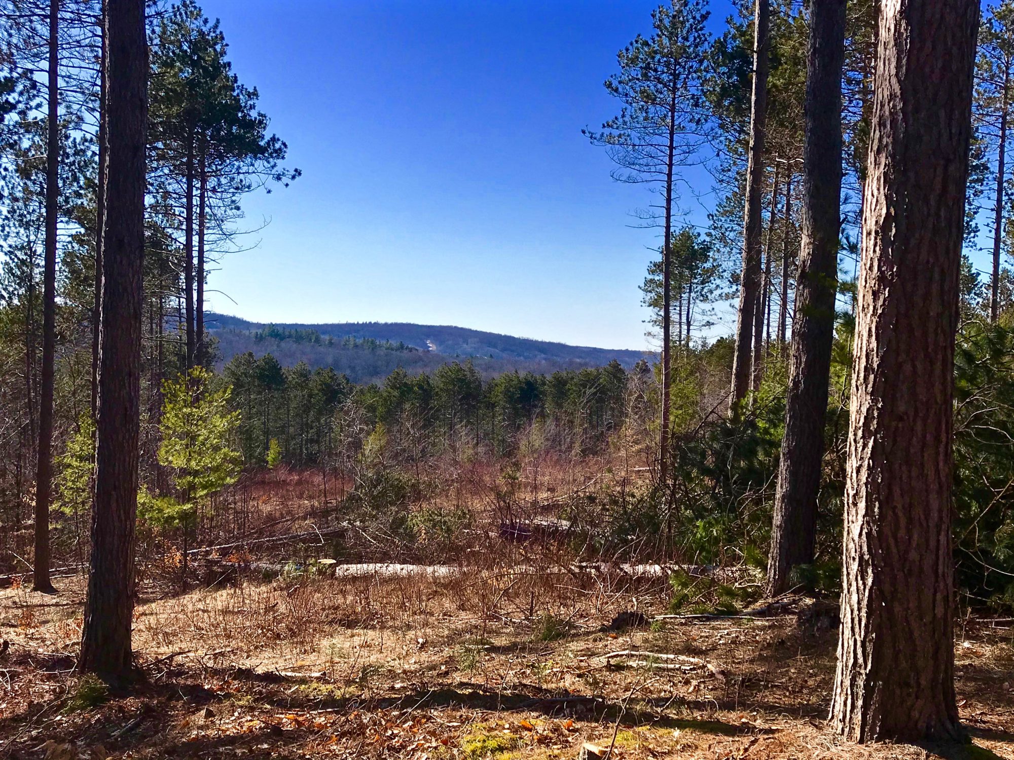 Adirondack Acreage Listings Adirondack Land for Sale