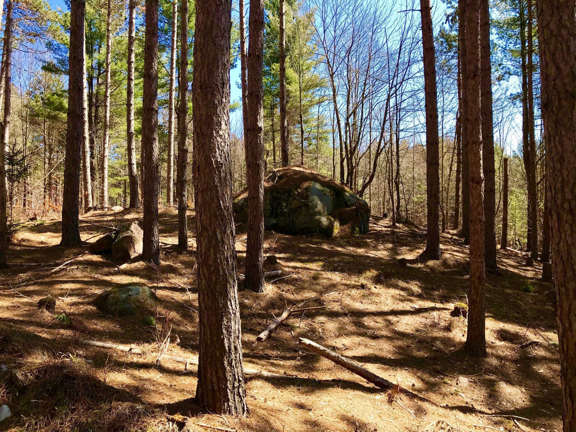 Adirondack Acreage Listings Adirondack Land for Sale