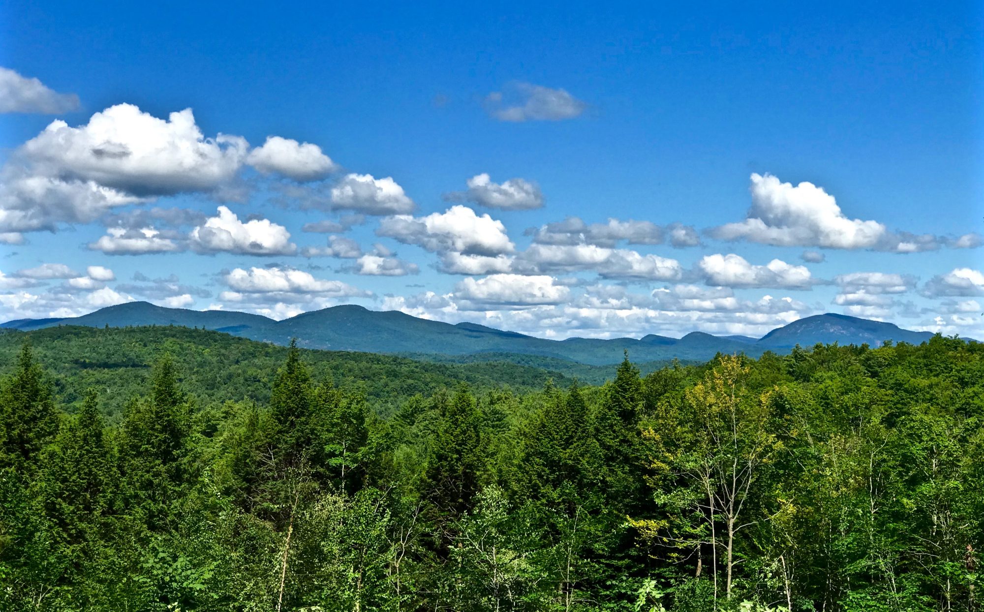 Large Pieces of Adirondack Acreage For Sale By Owner Ready for