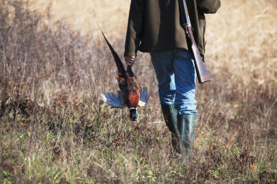 Pheasant hunter