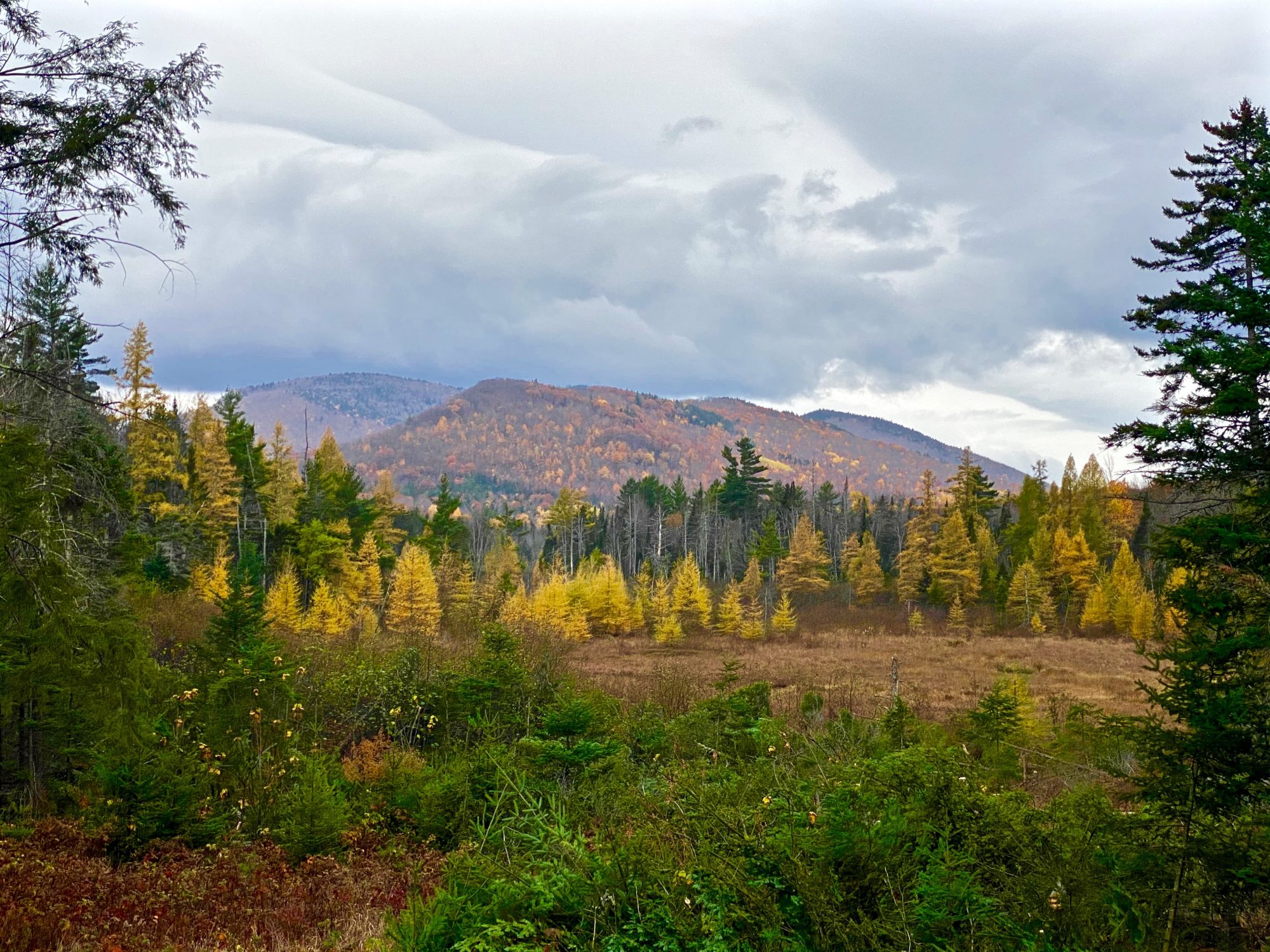 Adirondack Properties With Breathtaking Views Adk Mtn Land