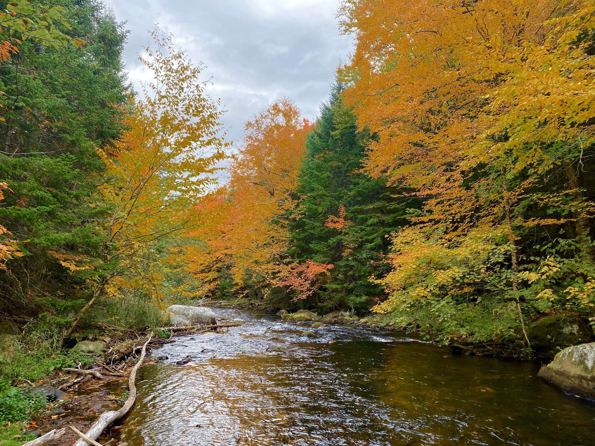 Adirondack Acreage Listings Adirondack Land for Sale