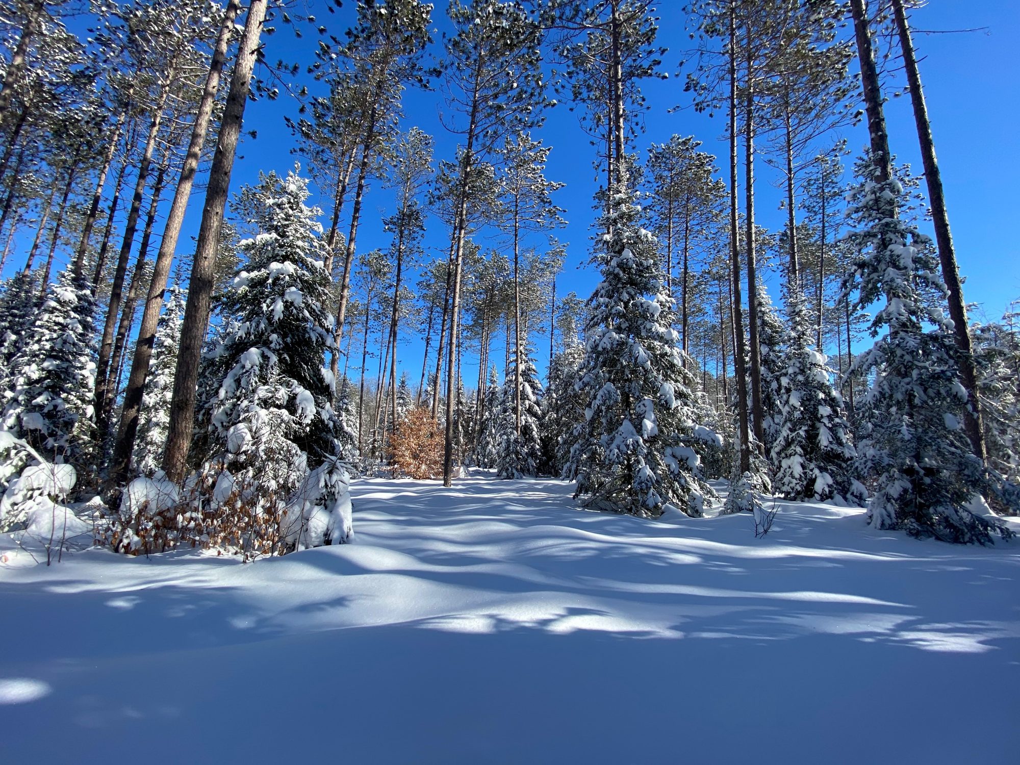 Adirondack Acreage Listings Adirondack Land for Sale