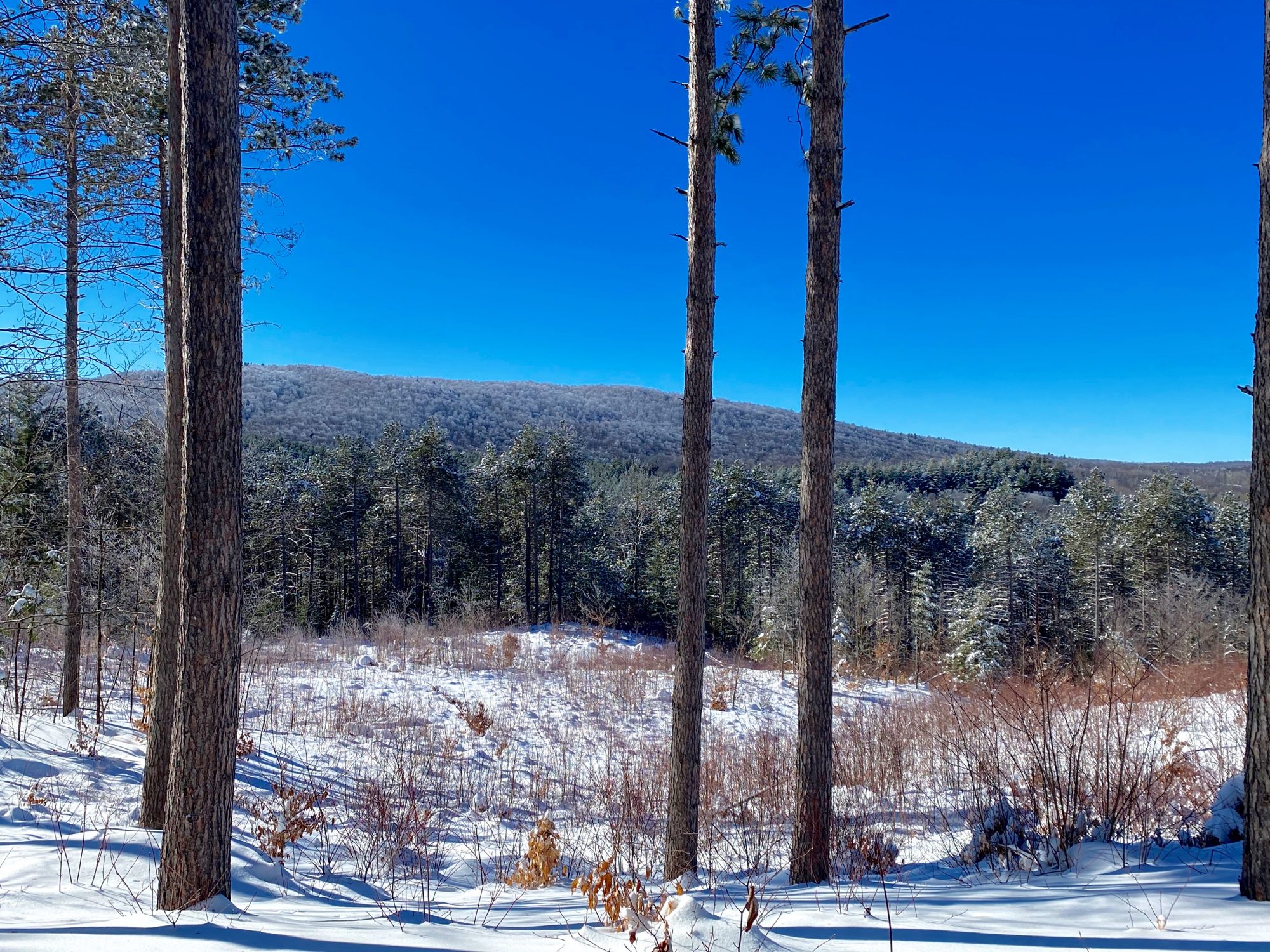 Adirondack Acreage Listings Adirondack Land for Sale