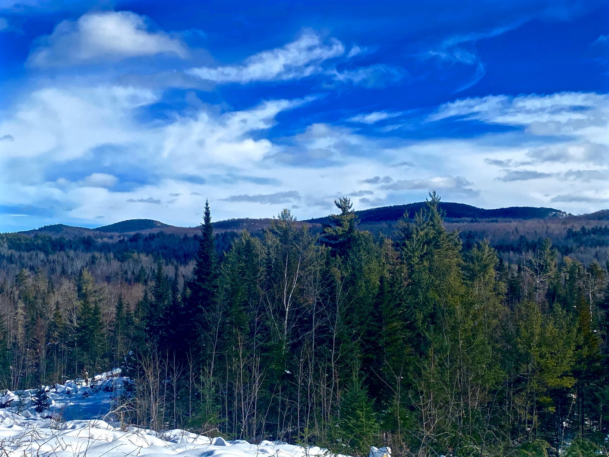 Adirondack Acreage Listings Adirondack Land for Sale