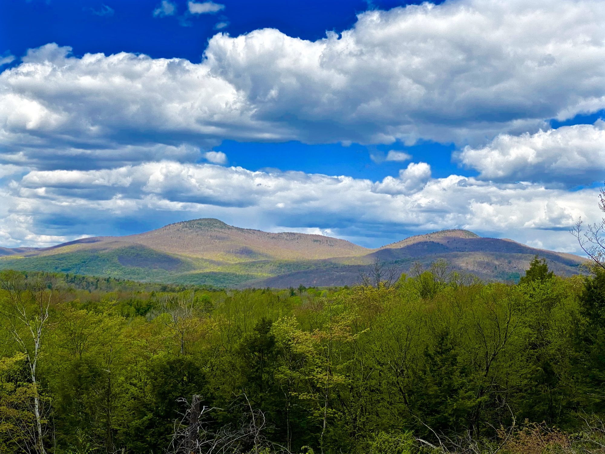 Adirondack Properties With Breathtaking Views Adk Mtn Land