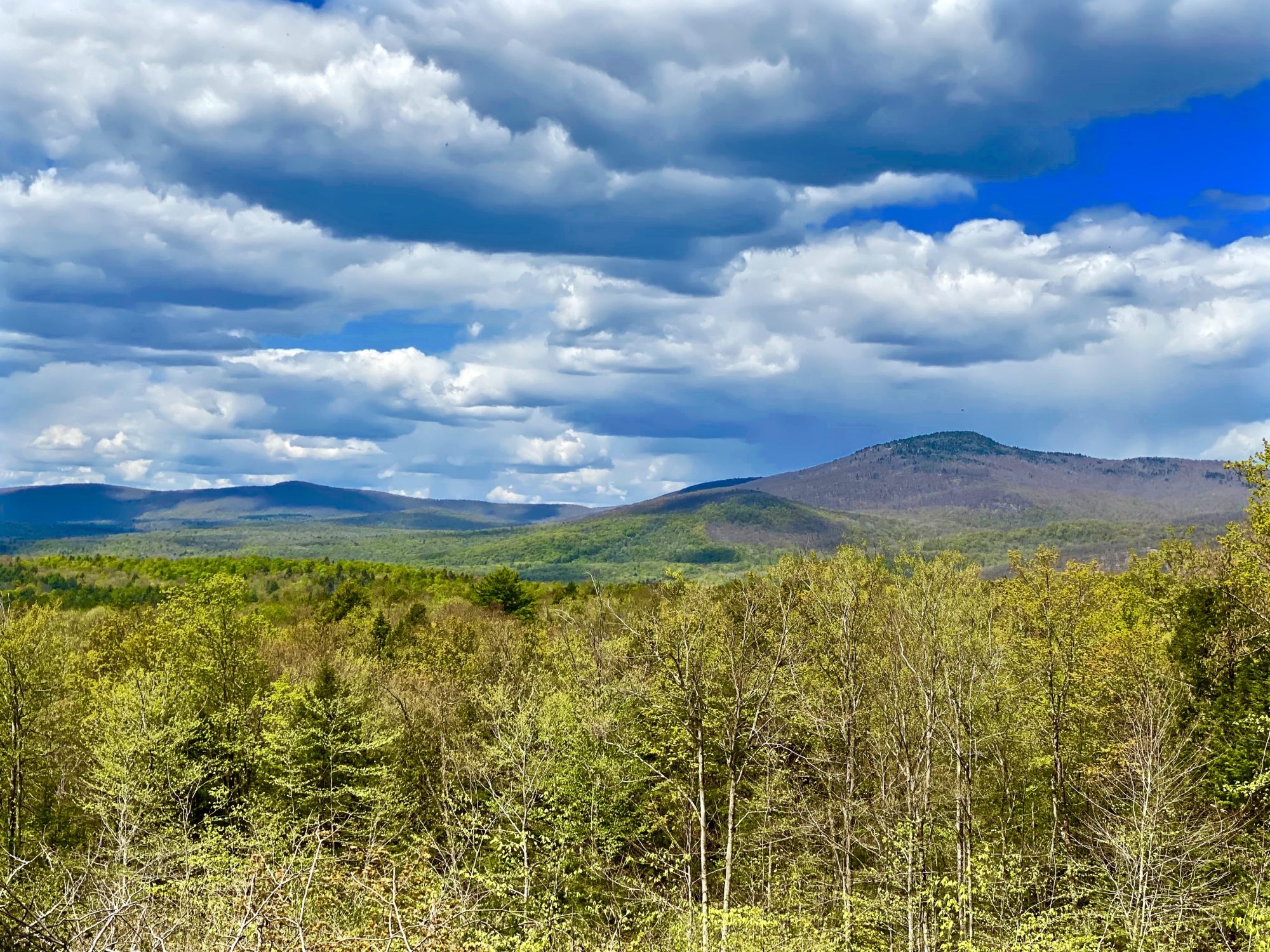 view of adirondack mountains in spring with blue sky and white clouds