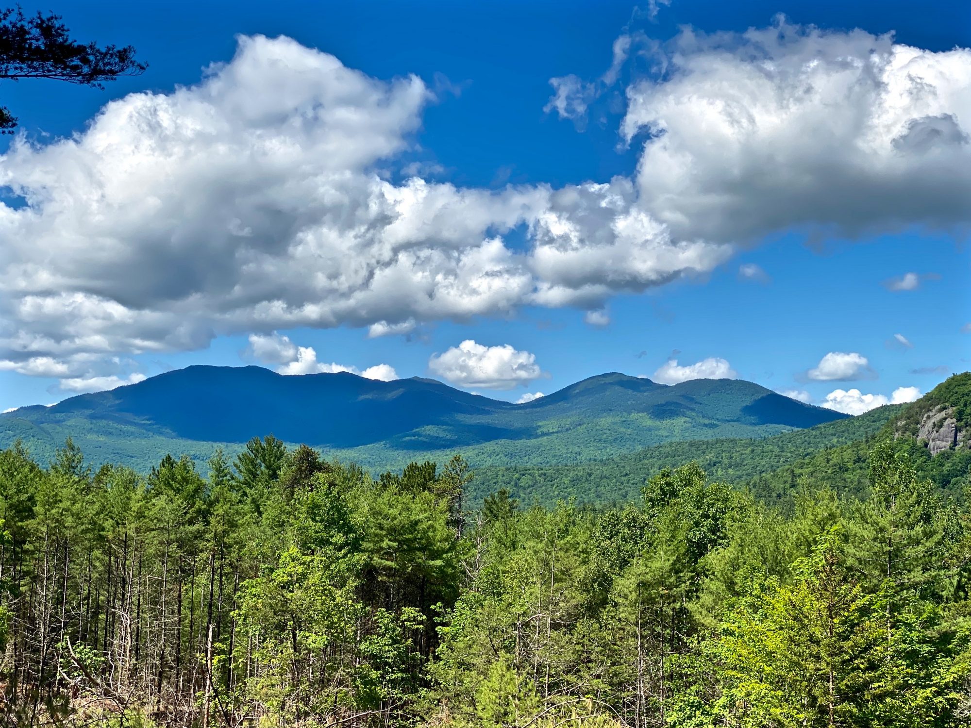 Find Adirondack Land for Sale, Large Acreage, Spectacular Views and