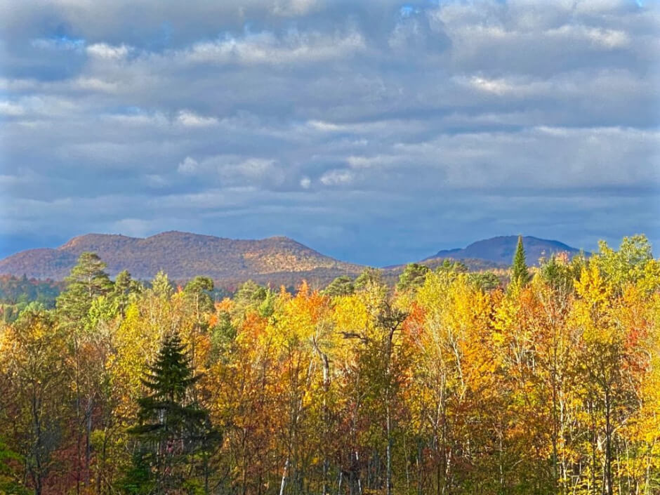 yellow and orange fall trees with adirondack mountains in distance