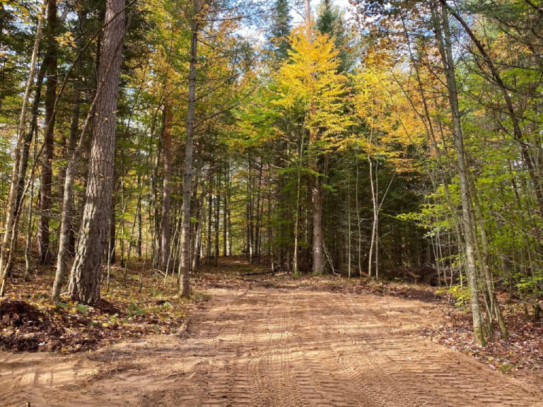 Adirondack Acreage Listings Adirondack Land for Sale