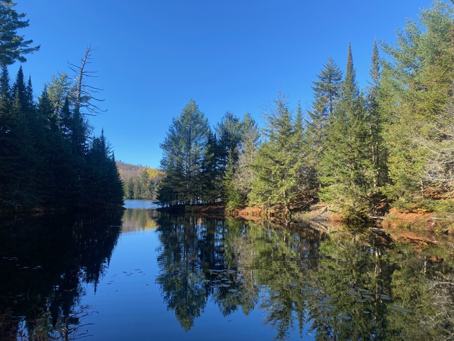 reflection of trees on still adirondack lake