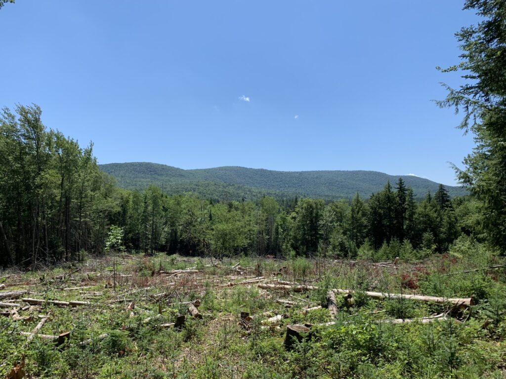 Adirondack Land for Sale ADK Acreage Listings